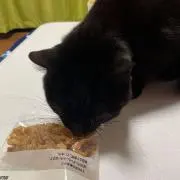 テテヌナ