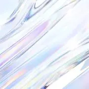 あひるの画像