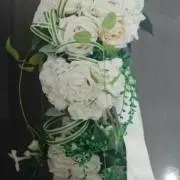 meiの画像