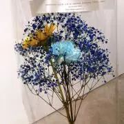 yuの画像