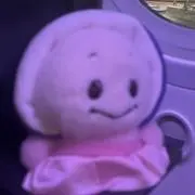 シェリーの画像