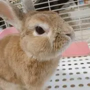 よー♡