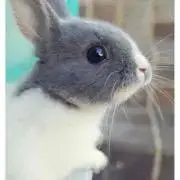 ♠︎MAA-の画像