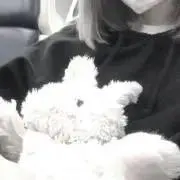 柊の画像