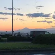 もちもちもっちんの画像