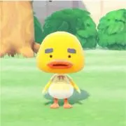 あの画像