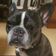 ゆみたん