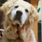 ユキコ
