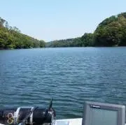 T.F.Cの画像