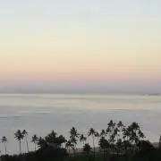 irukaの画像
