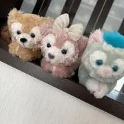 もぃちゃんの画像
