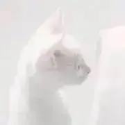 :)の画像