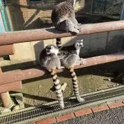 TAKEHIROの画像