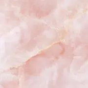 ぷくぷくの画像