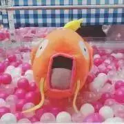 あかうお