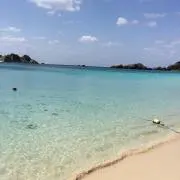 やまみの画像
