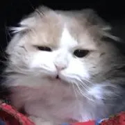 ーーーちの画像