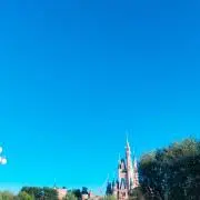 めぴの画像