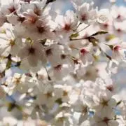 -u-@プロフ必読