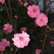 まりる断捨離中※プロフ必読お願いしますの画像