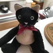 野良猫チョコの画像