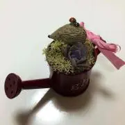 きなこの画像