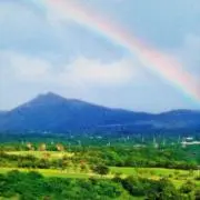 山吹の里　片付け中ヾ(・∀・。)✨✨の画像