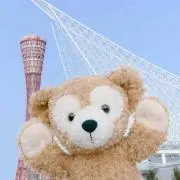 ひろこの画像