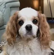 kako