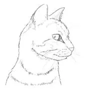 r ※プロフ一読お願いします。の画像