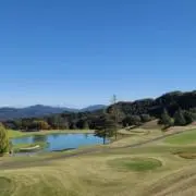 ともぴーの画像