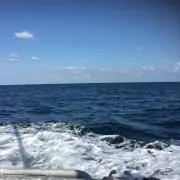 life is fishingの画像