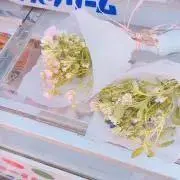 ビョル