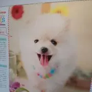★しばたん★[プロフお得情報あります！]の画像