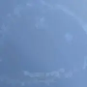 はたの画像