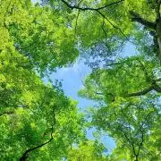 ゆばーば☆の画像
