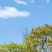 RAIの画像