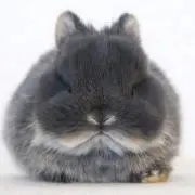 さしゅ(*´∇｀*)現在購入のみ
