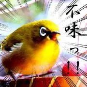 むめの画像