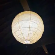茄子|引越し中の画像