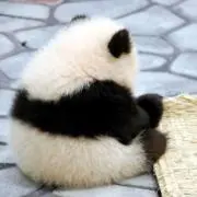 のり