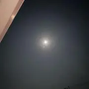 よしぴー