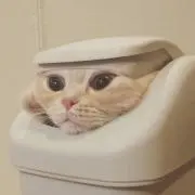 ゆなこの画像