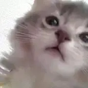 みっちゃん♡プロフ必読