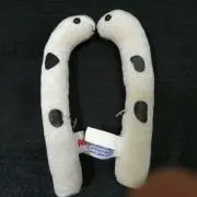 ポヨの画像