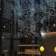 Daringの画像
