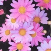 YOU♡