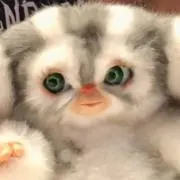 f@fa 24時間以内発送の画像