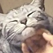 Haruの画像