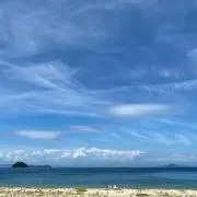 まーくんの画像
